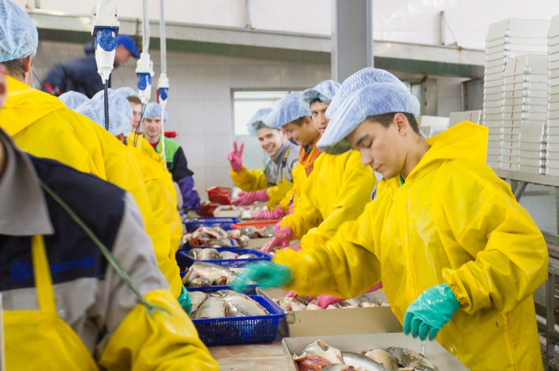 Работ в г рыбное. Рыбоперерабатывающий цех. Работ в г рыбное. Продавец рыбы. Усть камчатский рыбозавод.