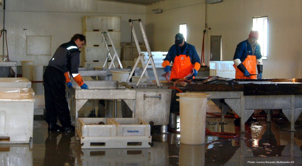 Норвегия работа