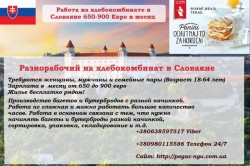 Работа в Словакии для всех 18-64 лет 750-950 евро Без предоплат