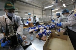 Робота в Ізраїлі без передоплат в Україні