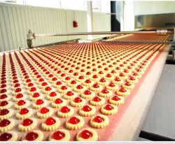 Робота в Ізраїлі на харчовій фабриці