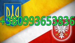 Мебельная фабрика в г. Эльблонг (Гданьск) . Операторы-упаковщики