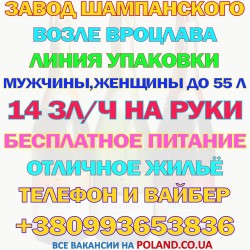 Завод детского шампанского в г. Karwiniec (Вроцлав)