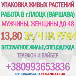 Упаковщики живых растений в г. Gąbin (Плоцк, Варшава)