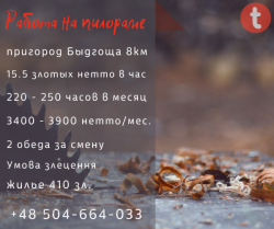 Работа на деревоперерабатывающем предприятии