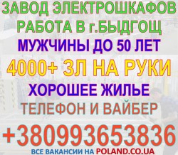 Производство металлических электрошкафов в г. Białe Błota (Быдгощ)