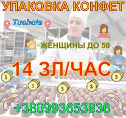 Упаковщицы на кондитерскую фабрику в г. Tuchola (Быдгощ)