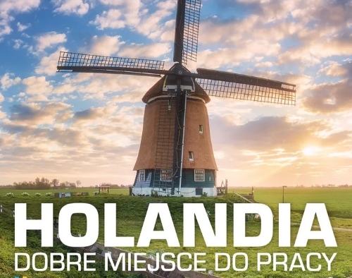 Нидерланды водитель