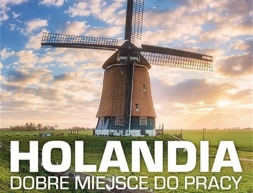 работа в Нидерланды