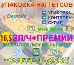 Производство готовых куриных наггетсов в г. Оструда (Гданьск)