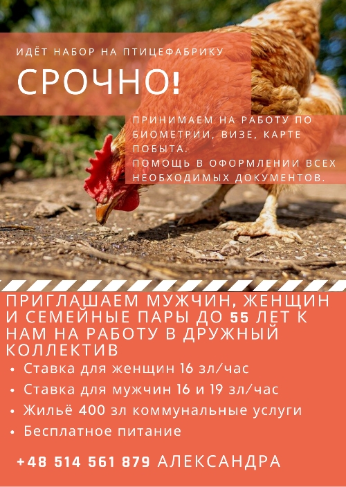ищем работников на Птицефабрику