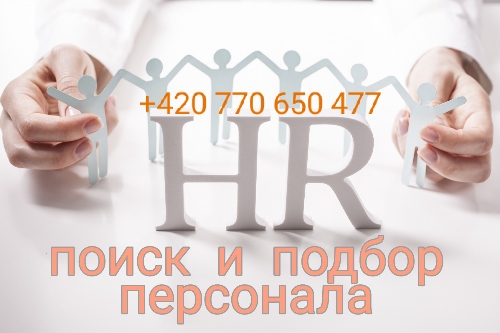 Подберу для вас специалистов