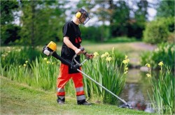 Працівник по догляду за рослинами