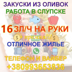 Изготовление закусок из оливок в г. Слупск (Гданьск)