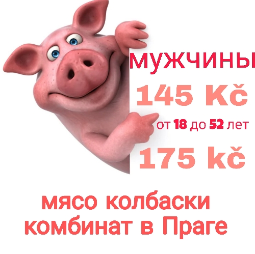 Требуется мужчины на мясокомбинат в Праге