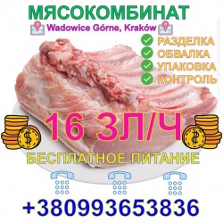 Работники продукции и упаковщики на свиной мясокомбинат в г. Wadowice Górne