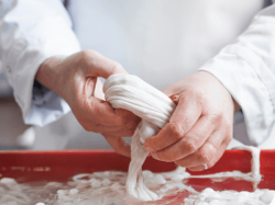 Очитстка и обработка кишок, WESTPOL