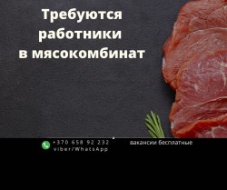 Разнорабочие в мясокомбинат