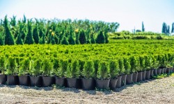 Аграрне підприємство