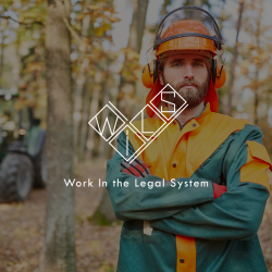 Лесной санитар (15-20 чел.)