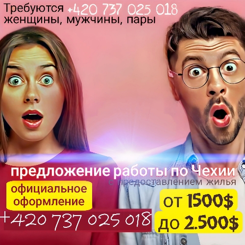 предложение работы
