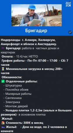 Автомеханик моторист/электрик