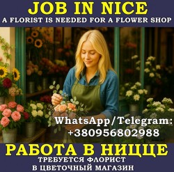Требуется флорист (ка) в цветочный магазин. Ницца