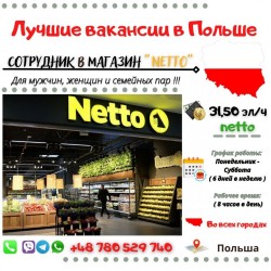 Сотрудник в магазин (Кассир, Мерчендайзер) Netto