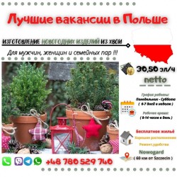 Изготовление новогодних изделий из хвои