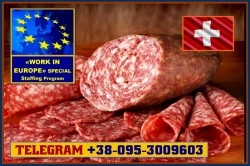 Работа для мужчин, женщин, семейных пар. До 15 Евро в час. По биометрии